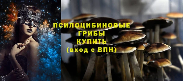 MESCALINE Елабуга